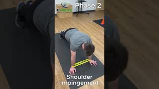 One Essential Exercise for Serratus Anterior  Plank to Pike with Bands for Shoulder Impingement [upl. by Ateuqram895]