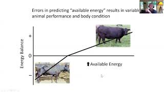 ROWLI  Feedstuffs and Impact on Nutrient Metabolism [upl. by Birkner548]