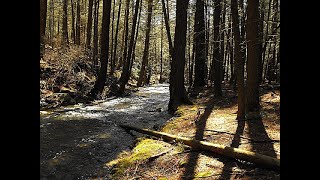 Riding Michaux State Forest in PA is a hidden gem [upl. by Kroy]