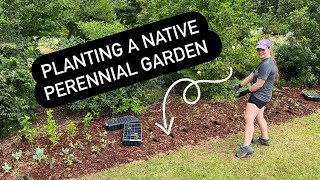 Planting a native perennial garden [upl. by Collete]