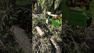 GreenWorks 40v Chainsaw hungry for wood [upl. by Eivad]