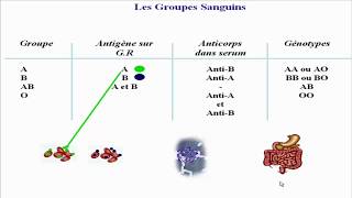 Réaction AntigénesAnticorps III [upl. by Amalee]