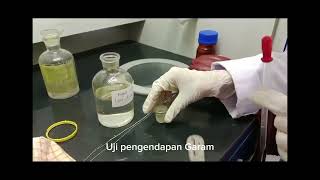 Praktikum Uji Protein  Kelompok 3A [upl. by Lidia358]