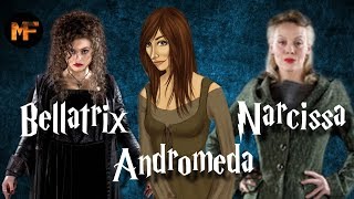 Black Sister Origins Explained Bellatrix Lestrange Narcissa Malfoy amp Andromeda Tonks [upl. by Gabler217]