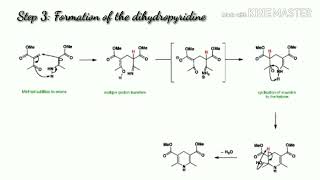 Hantzsch Pyridine Synthesis [upl. by Ellehcyt]