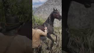 4 RARE Horses Location rdr2 gaming funny shorts [upl. by Hgielanna300]