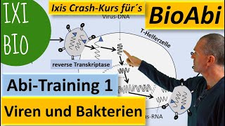 Viren und Bakterien  lysogener lytischer Zyklus  Anwendung  Biologie Abitur  Training Bio Abi [upl. by Inail]