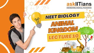 Phylum Annelida 1  Lecture10 Animal Kingdom  Biology Grade 11  JEE  NEET [upl. by Kristel]