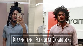 How To Detangled Freeform Dreadlocks  Garry Washington [upl. by Rachel]