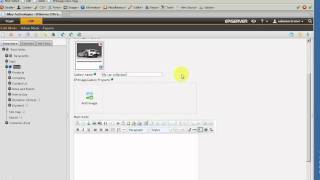 Demo of EPiImage module for EPiServer CMS [upl. by Ashlie]