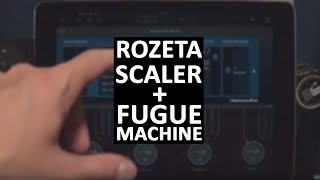 Rozeta Scaler  Fugue Machine Demo [upl. by Montgomery656]