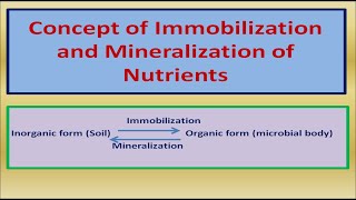 Concept of Immobilization and Mineralization of Nutrients [upl. by Rockie786]