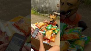 goodnatured puppy viral funny comedy dog [upl. by Dnaltroc]