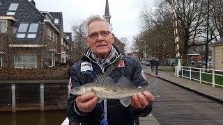 Streetfishing op snoekbaars in Zwolle [upl. by Mapes]