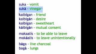 Tagalog 1on1  Lesson 1 Pronunciation practice [upl. by Uzial640]