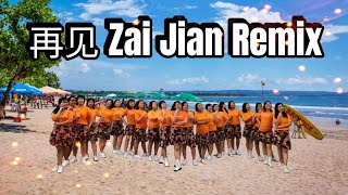 再见 Zai Jian Remix Line Dance Choreographer  HDS INA Nov 2023 [upl. by Milurd594]