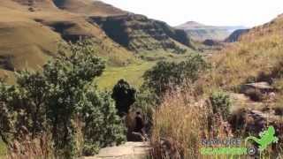 Drakensbergen in ZuidAfrika  NatureScannernl [upl. by Kucik]