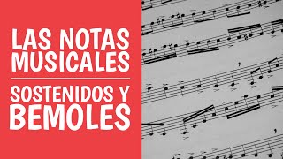 Aprende las Notas Musicales Do Re Mi ¿Qué son los Sostenidos y Bemoles [upl. by Eiramesor537]