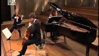 Mendelssohn Piano Trio No 1 Lang Lang [upl. by Anaeed783]