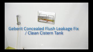 Geberit Concealed Flush Leakage Fix  Clean Cistern Tank [upl. by Center]