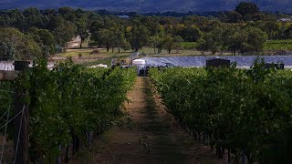 Sewage Treatment Plant for Vineyard [upl. by Marybelle525]