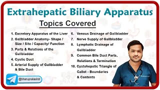 Extrahepatic Biliary Apparatus A Comprehensive Anatomy Guide by Dr Abhijeet 📚✨ [upl. by Alroy]