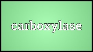 Carboxylase Meaning [upl. by Ahsam535]