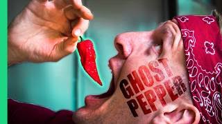 Spicy Indian Food Challenge GHOST PEPPER Chutney and the SPICIEST Street Food in Delhi India [upl. by Emmett]