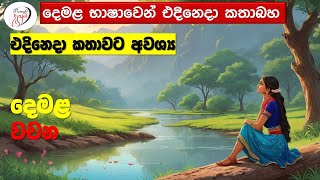 අපි දෙමළ කතා කරමු  මූලික පාඩම්  Lets Speak Tamil  Basic to Advanced Lessonsquot  Punchi Danuma [upl. by Earehc122]