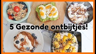 5 Recepten voor een Gezond Ontbijt  OPTIMAVITA [upl. by Nollat528]