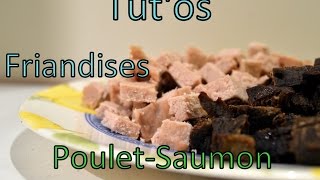 Tutos  Friandises  pouletthon [upl. by Joy]