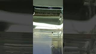 Agarose Gel Electrophoresis [upl. by Ivetts]