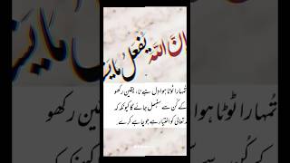 Broken heart islamic information brokenheart ChuChuTVZindabadvines AskMuftiTariqMasood [upl. by Hacker]