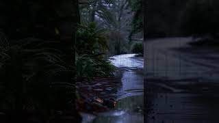 Relax and fall asleep quickly with the Sound of light Rain Long and Healthy sleep [upl. by Lockwood160]