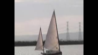 Bolger Micro sailing Barker Inlet [upl. by Aihtenak373]