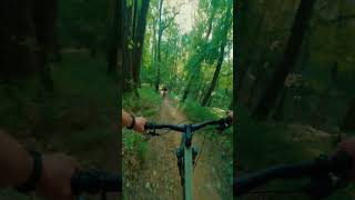 Flow Trails Are Fun moutainlife michigan moutainbiking cycling fitness extremesports [upl. by Walford]