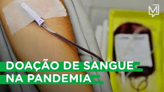 Doar sangue na pandemia é seguro I Meio Explica [upl. by Petrick805]