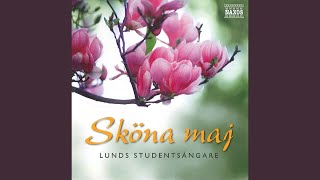 Majsång  Sköna maj välkommen [upl. by Quar]