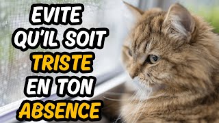 Si tu veux que ton chat ne sois pas TRISTE quand tu QUITTES la maison👉 Suis ces 9 Conseils [upl. by Elroy]