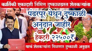 शेतकऱ्यांना भरघोस आर्थिक मदत हेक्टरी 22500 रुपये मिळणार  Dushkal Anudan 2023  Dushkal Madat [upl. by Eahsel]