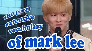 intro to mark lees vocabulary [upl. by Lennor]