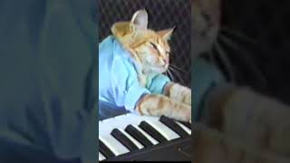 Keyboard Cat Original shorts [upl. by Correna]