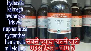 most useful mother tincture  6 hamamelis q nuphar lutea q kalmegh q hydrastis q nyctanthes q [upl. by Arihsaj]