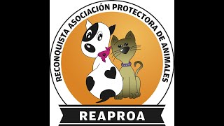 Sorteo Bono Socio Protector  Bingo Reaproa 2024 [upl. by Eneluj]