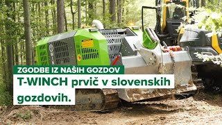 Zgodbe iz naših gozdov TWINCH premierno v slovenskih gozdovih [upl. by Moorish]