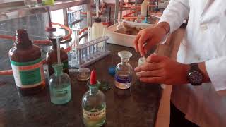 Test for Chloride ion in Lab by Seema Makhijani [upl. by Slotnick]