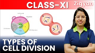 Cell cycle and cell division  Lecture  3  Types of cell division  Mitosis  Meiosis  NEET [upl. by Virgy]