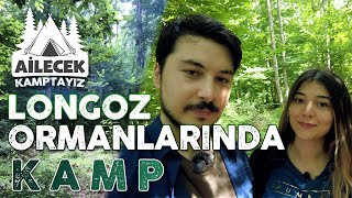 LONGOZ ORMANLARINDA KAMP 🏕  İğneada Cennetten Bir Köşe Gibi [upl. by Frulla]