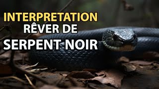 RÊVER DE SERPENT NOIR  signification des reves  interpretation des reves [upl. by Jandy564]