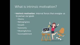 IO Psychology  Lecture 8  Part 3  Intrinsic amp Extrinsic Motivation [upl. by Oiramed]